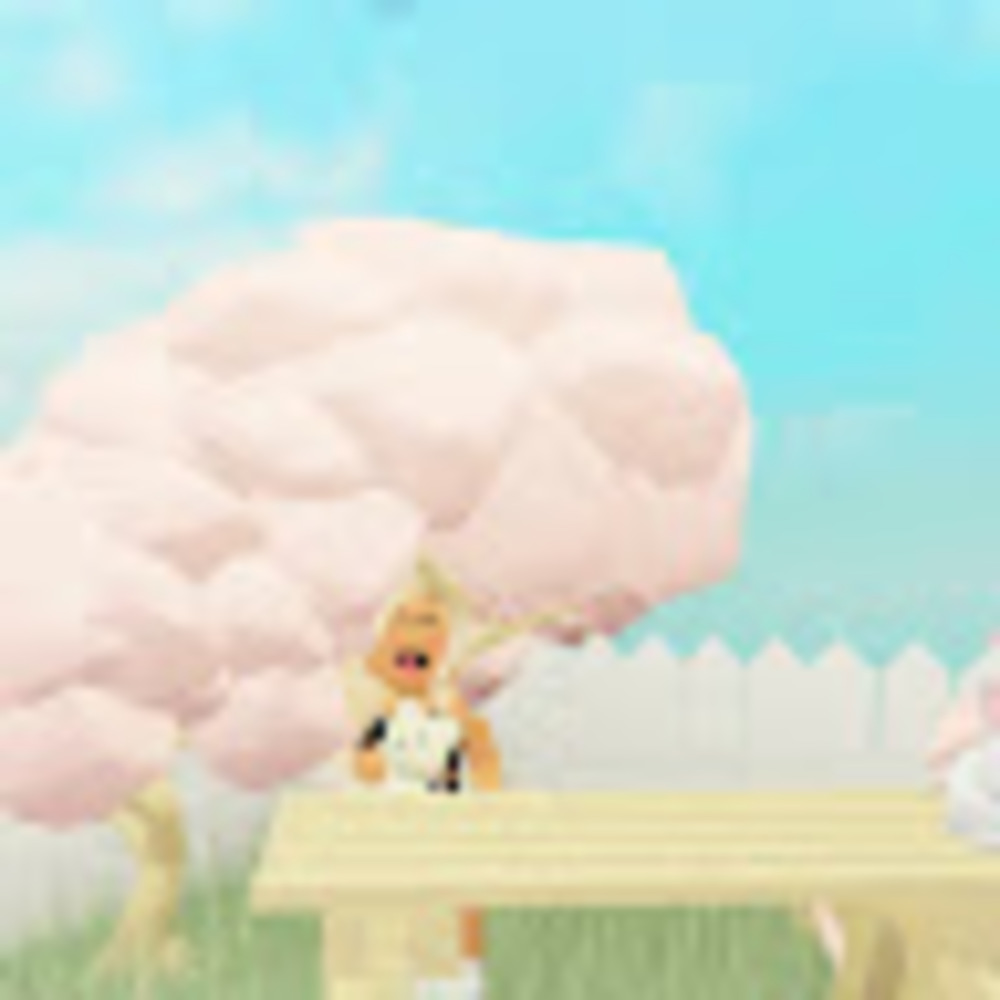 Meet your Posher, Rose